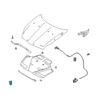 OEM 2005 Infiniti G35 Clamp-Rod Hood Diagram - 65722-AL505