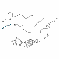 OEM 2019 Ford Expedition Lower Oxygen Sensor Diagram - GK4Z-9G444-C