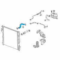 OEM 2019 Chevrolet Traverse Lower Hose Diagram - 84097812