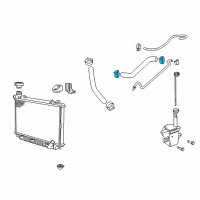 OEM 2008 Pontiac G8 Hose Clamp Diagram - 20572597