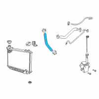 OEM 2008 Pontiac G8 Lower Hose Diagram - 92157817