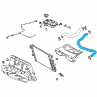 OEM 2017 Chevrolet Corvette Lower Hose Diagram - 84254396