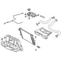 OEM 2016 Chevrolet Corvette Overflow Hose Diagram - 23121539