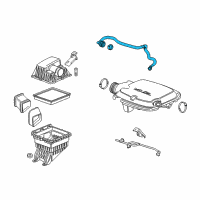 OEM Chevrolet Colorado PCV Tube Diagram - 12703921