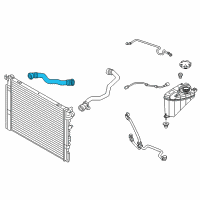 OEM 2021 BMW 530e HOSE RADIATOR-WATER PUMP Diagram - 17-12-9-895-915