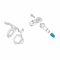 OEM 2015 Kia K900 Cap-Valve Diagram - 529373T000