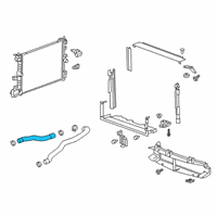 OEM Cadillac CT6 Lower Hose Diagram - 84065766