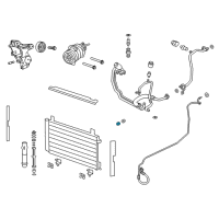 OEM Chevrolet Caprice Pressure Hose O-Ring Diagram - 92192328