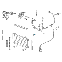 OEM Chevrolet Caprice Pressure Hose O-Ring Diagram - 92148180