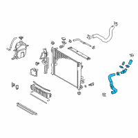 OEM 2020 Toyota Camry Lower Hose Diagram - 16057-F0010