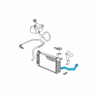 OEM 1996 GMC C1500 Suburban Radiator Outlet Hose (Lower) Diagram - 15683910