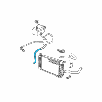 OEM 1999 Chevrolet K2500 Radiator Surge Tank Outlet Hose Assembly Diagram - 15031596