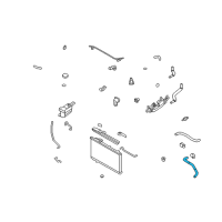 OEM Hyundai Santa Fe Hose-Radiator Lower Diagram - 25412-2B200