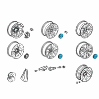 OEM 2019 Chevrolet Tahoe Center Cap Diagram - 20941996