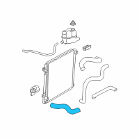 OEM Ford Explorer Lower Hose Diagram - 8L2Z-8286-B