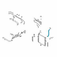 OEM Kia Sorento Hose-Radiator Lower Diagram - 254123E950