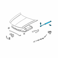OEM 2011 Acura TSX Dumper Assembly, Driver Side Hood Opener Diagram - 74195-TP1-305