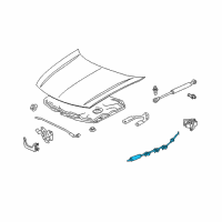 OEM Acura TSX Wire Assembly, Hood Diagram - 74130-TL0-G01