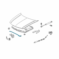 OEM Acura TSX Stay, Hood Opener Diagram - 74145-TL0-G00
