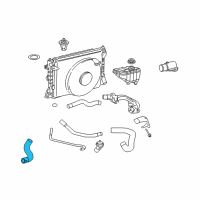 OEM 2005 Ford Mustang Lower Hose Diagram - 4R3Z-8286-BA