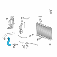 OEM 2015 Honda Civic Hose, Water (Lower) Diagram - 19504-RW0-A50