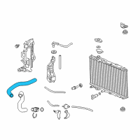 OEM 2014 Honda Civic Hose, Water (Upper) Diagram - 19501-RW0-A02