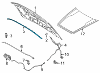 OEM 2022 Ford Maverick SEAL Diagram - NZ6Z-16B990-A