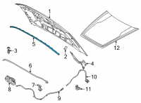 OEM Ford Maverick SEAL Diagram - NZ6Z-16B990-A