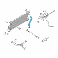 OEM 2015 Ford F-150 Upper Hose Diagram - HL3Z-8260-C