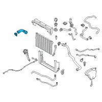 OEM 2015 BMW 760Li Coolant Hose Diagram - 17-12-7-595-610