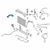 OEM 2012 BMW 760Li Coolant Hose Diagram - 17-12-7-595-610