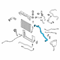 OEM 2013 BMW 760Li Coolant Hose Diagram - 17-12-7-595-611