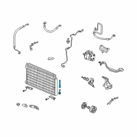 OEM Honda Filter Assembly Diagram - 80101-SVA-A01