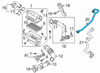 OEM 2022 Ford Police Interceptor Utility Vapor Hose Diagram - L1MZ-9G297-A