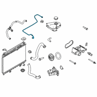 OEM 2018 Ford Fiesta Overflow Hose Diagram - 8V2Z-8B081-B