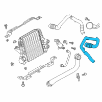 OEM 2016 Ford Expedition Lower Hose Diagram - BL3Z-6C646-A