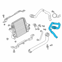 OEM 2012 Ford F-150 Lower Hose Diagram - BL3Z-6C646-A