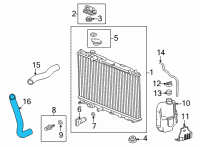 OEM 2022 Honda Civic HOSE, WATER (LOWER) Diagram - 19502-64S-A00