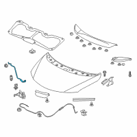 OEM 2018 Honda Fit Stay, Hood Open (Coo) Diagram - 74145-T5R-305