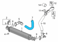 OEM Honda HOSE Diagram - 17281-64A-A01