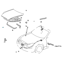 OEM 2005 Lexus SC430 Plug, Plate Diagram - 90333-35002