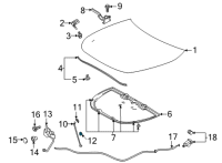 OEM 2019 Toyota Corolla Support Rod Clip Diagram - 53452-02220