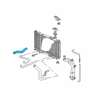 OEM Honda Civic Hose, Water (Upper) Diagram - 19501-PLC-000