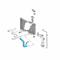 OEM 2001 Honda Civic Hose, Water (Lower) Diagram - 19502-PLC-000