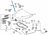 OEM Lexus NX450h+ SUPPORT ASSY, HOOD Diagram - 53440-0W380