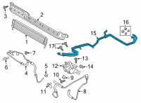 OEM 2021 Ford F-150 TUBE ASY Diagram - ML3Z-7R081-B