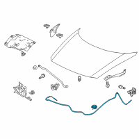 OEM 2012 Honda CR-Z Wire Assembly, Hood Diagram - 74130-SZT-G01