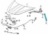 OEM 2022 Chevrolet Corvette Lift Cylinder Diagram - 23429048