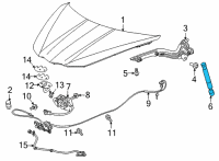 OEM Chevrolet Corvette Lift Cylinder Diagram - 23429048