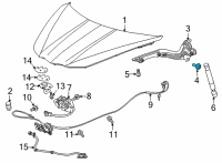 OEM 2022 Chevrolet Corvette Upper Hinge Bolt Diagram - 11602842